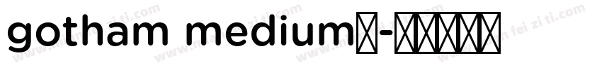 gotham medium和字体转换